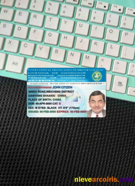 International Translation of drivers license photolook